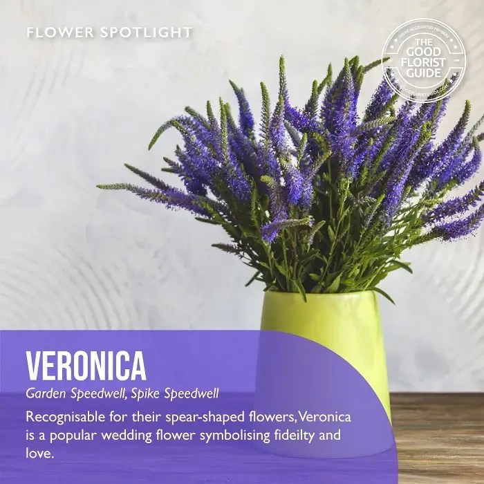 Flower Guide Scent with Love Florist North Wales