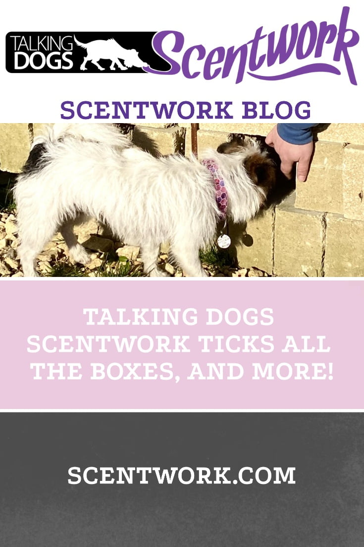 Talking Dogs Scentwork® ticks all the boxes, and more! TD Scentwork