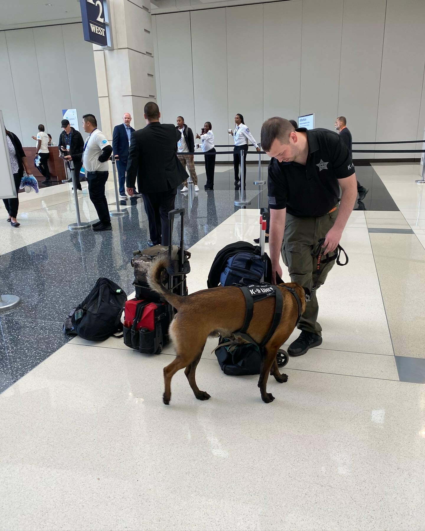 Firearm Detection Dogs ScentWorks K9