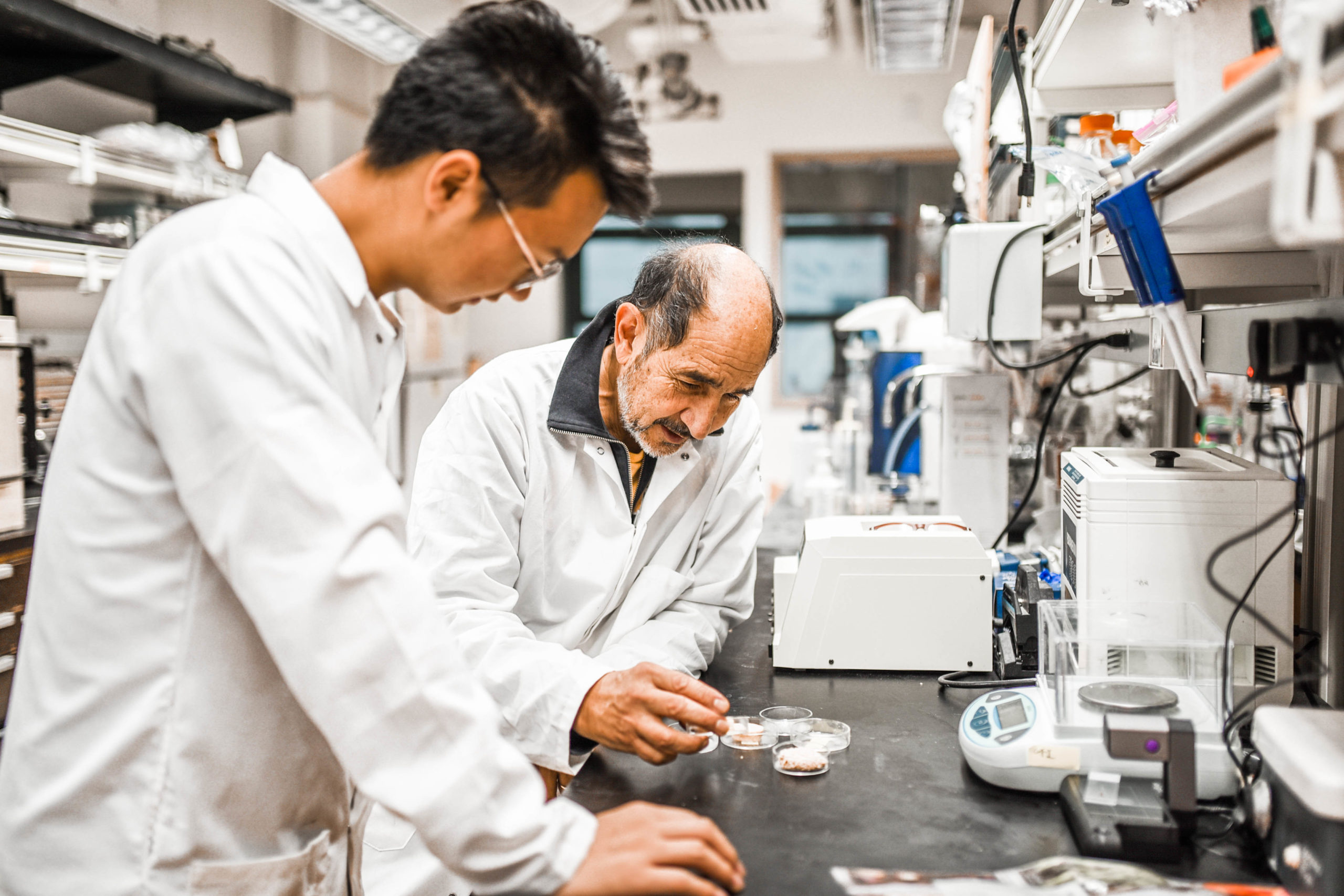 Alt Meat Lab UC Berkeley Sutardja Center