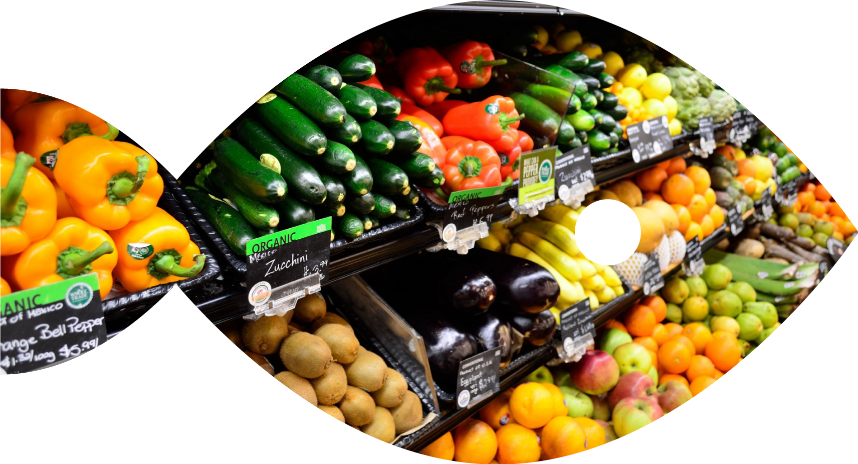 Checking in on our plantbased seafood collider UC Berkeley Sutardja