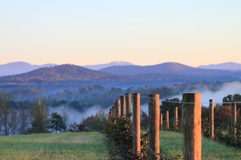 The Best Family Farms in South Carolina South Carolina FYI