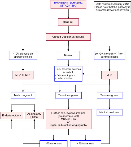 CME 13/11/14 Risk Stratification in TIA Charlie's ED