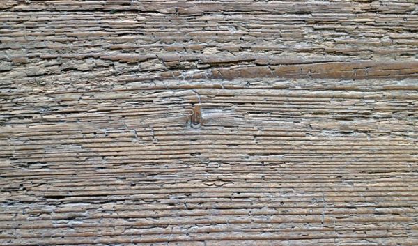 Holzwurm Im Haus: Befall Von Treppe, Dielen & Parkett