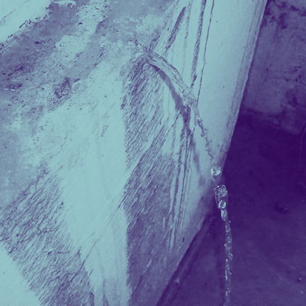 DRIP…DRIP…DRIP… A Guide to Leaky Basements Schaefer