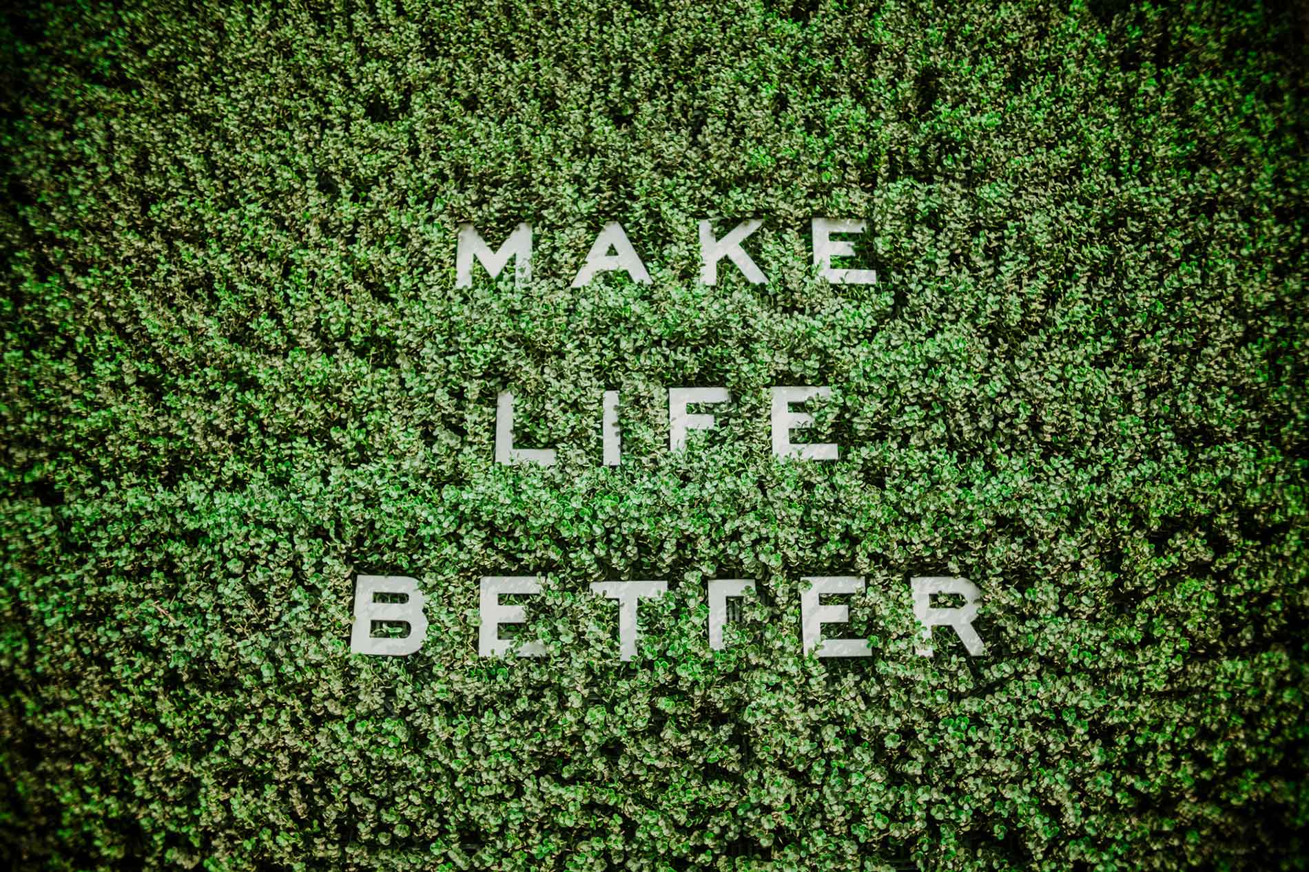 Make Life Better DAY Schaefer Advertising Co.