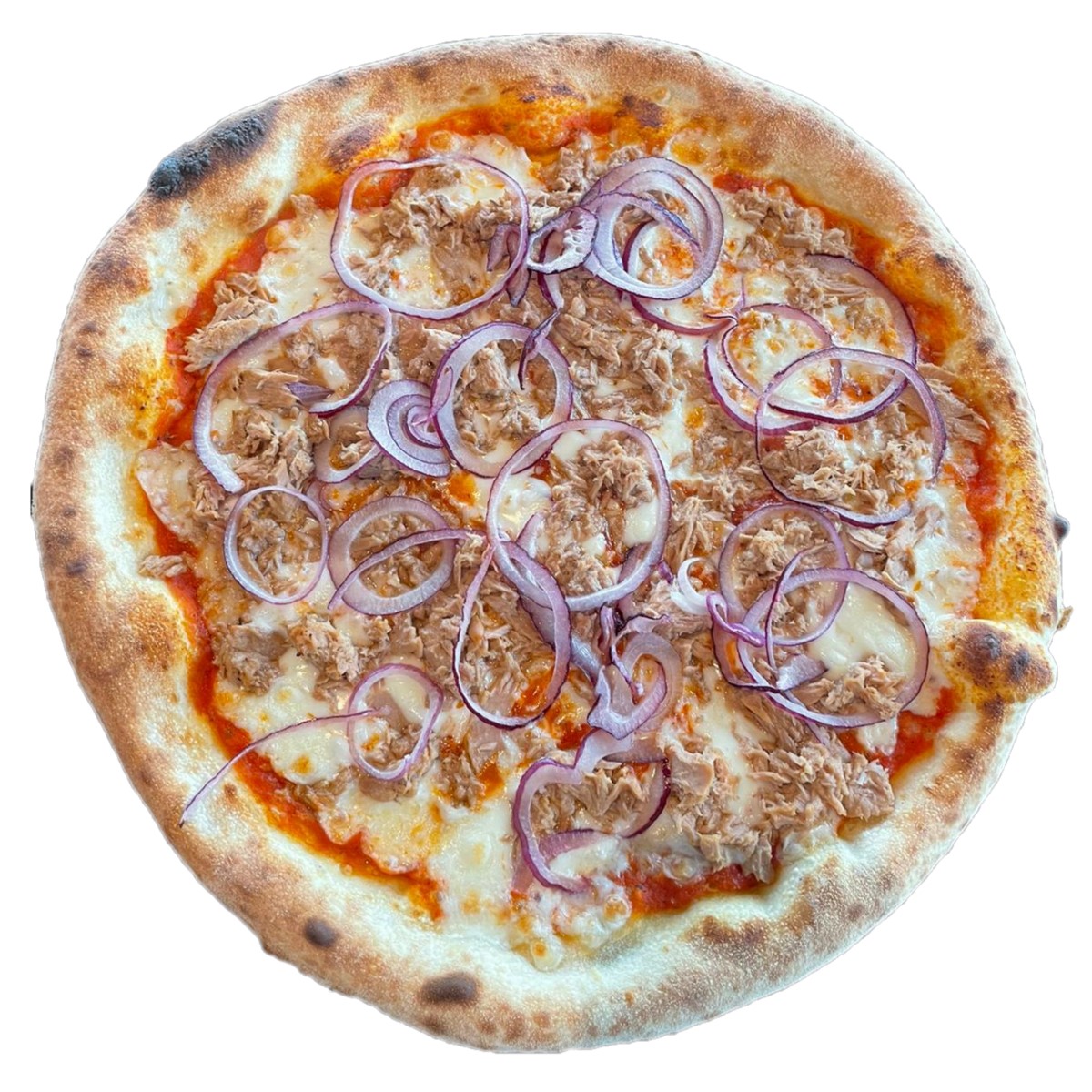 Pizza Tonno e Cipolla Schäftlarner Einkehr Italienisches Restaurant