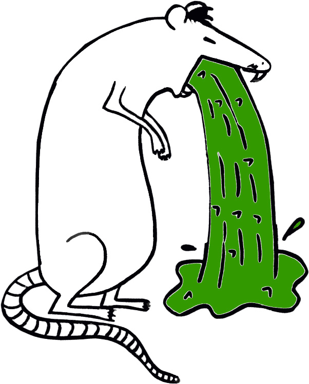 Ratte Zeichnen