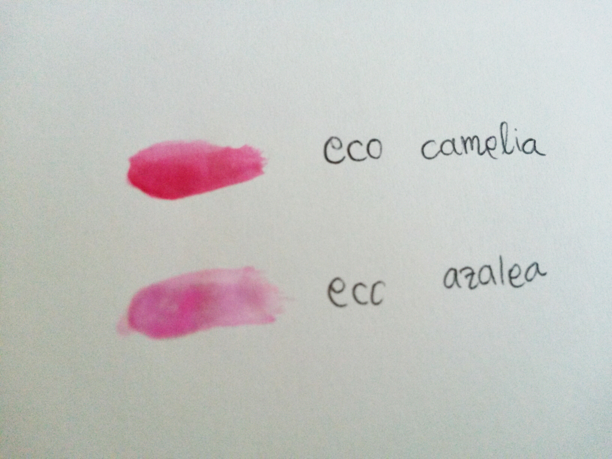 Innisfree Eco Flower Lip Tint Eco Camelia Eco Azalea Review