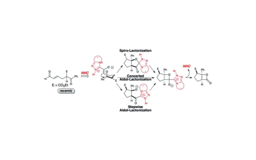 Catalytic Resolution of a Dynamic Racemate Highly