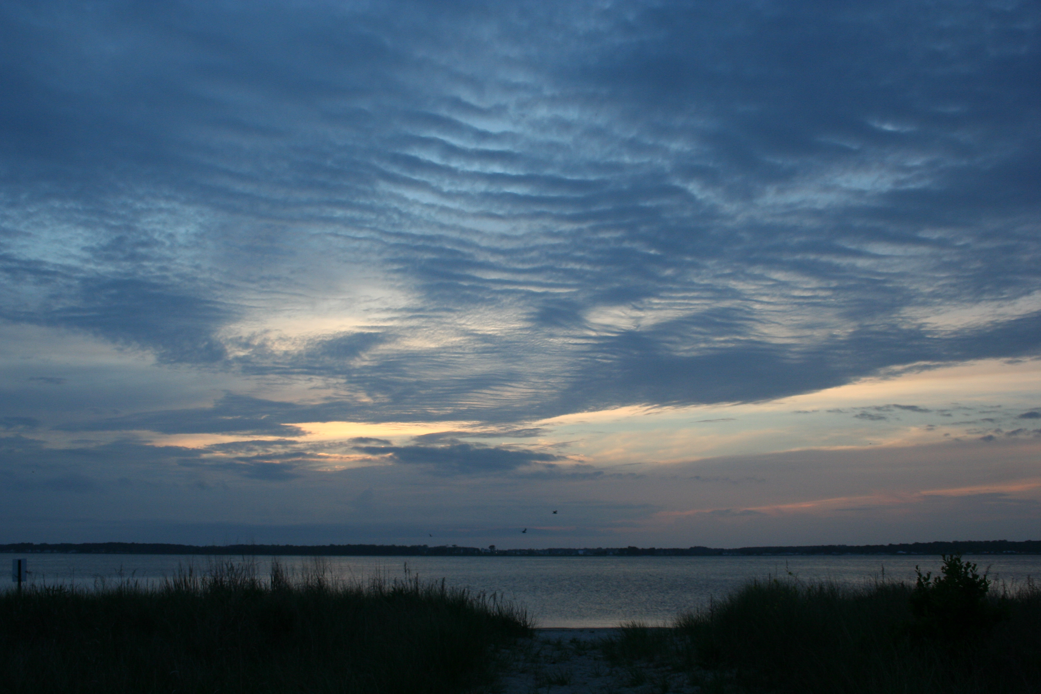 Beautiful Water Views from Ellis Point Building Happiness