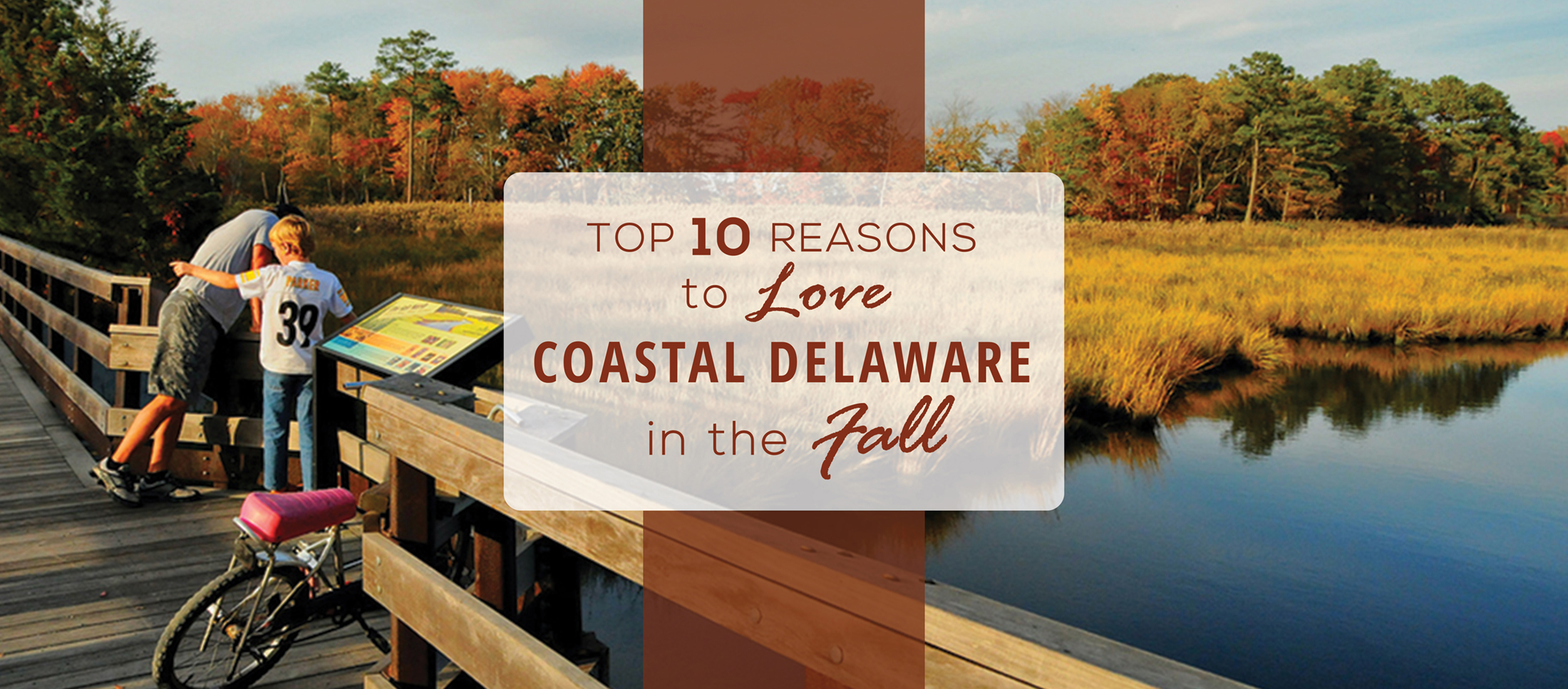 Reasons to Love Coastal Delaware in the Fall