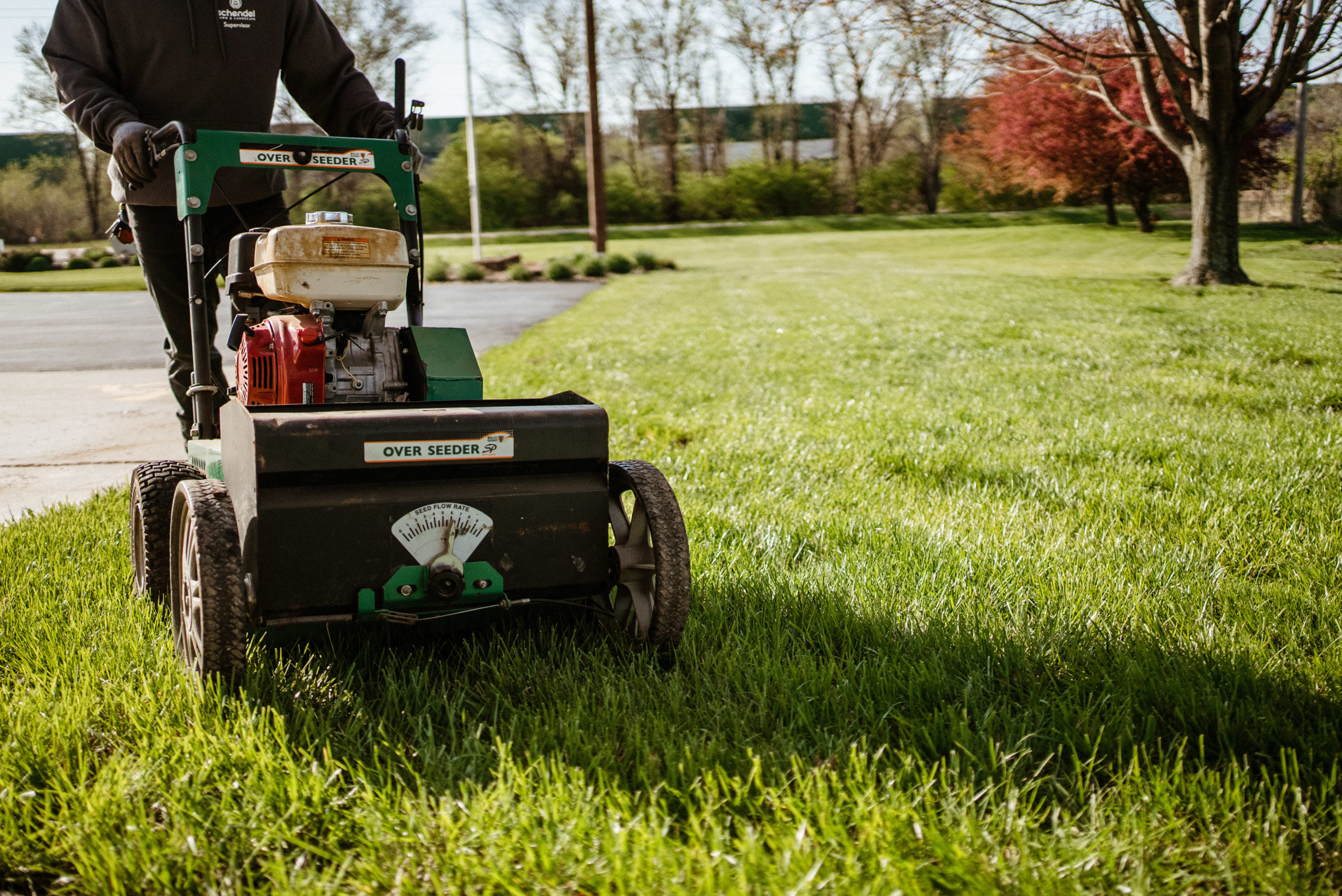 Watering & Care Instructions for Overseeding Your Lawn