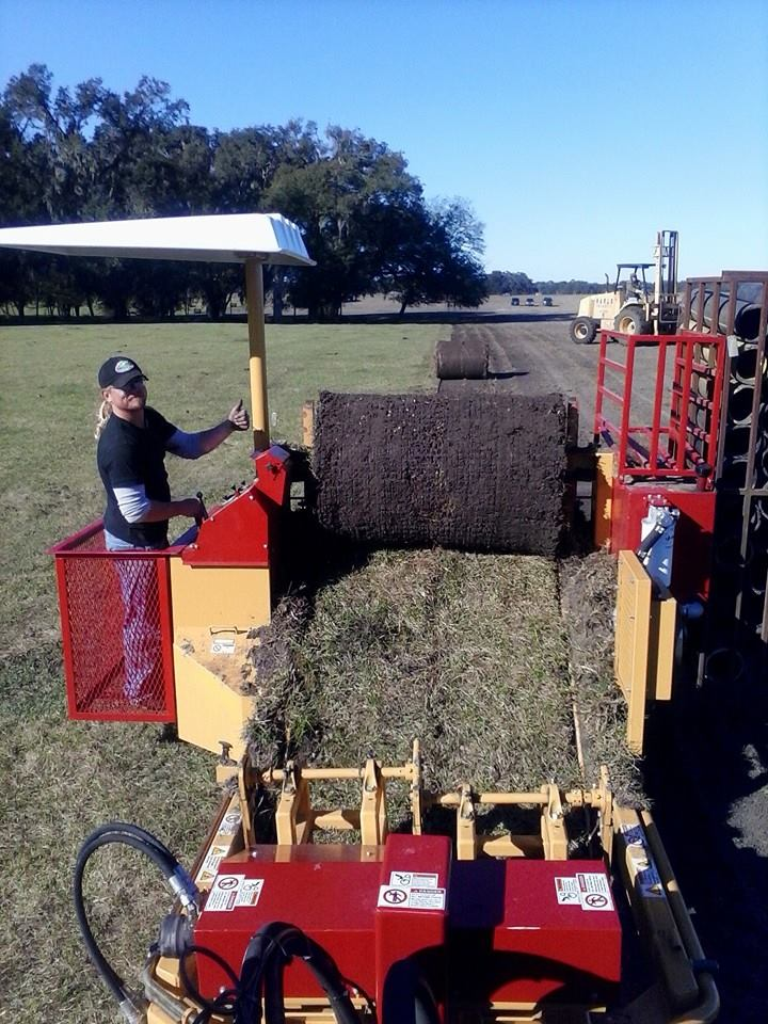 Sod Harvesting Scherer Quality Farms, Inc