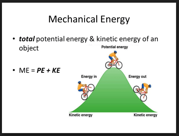 Ms. Schermerhorn',s 5th Grade Class [licensed for use