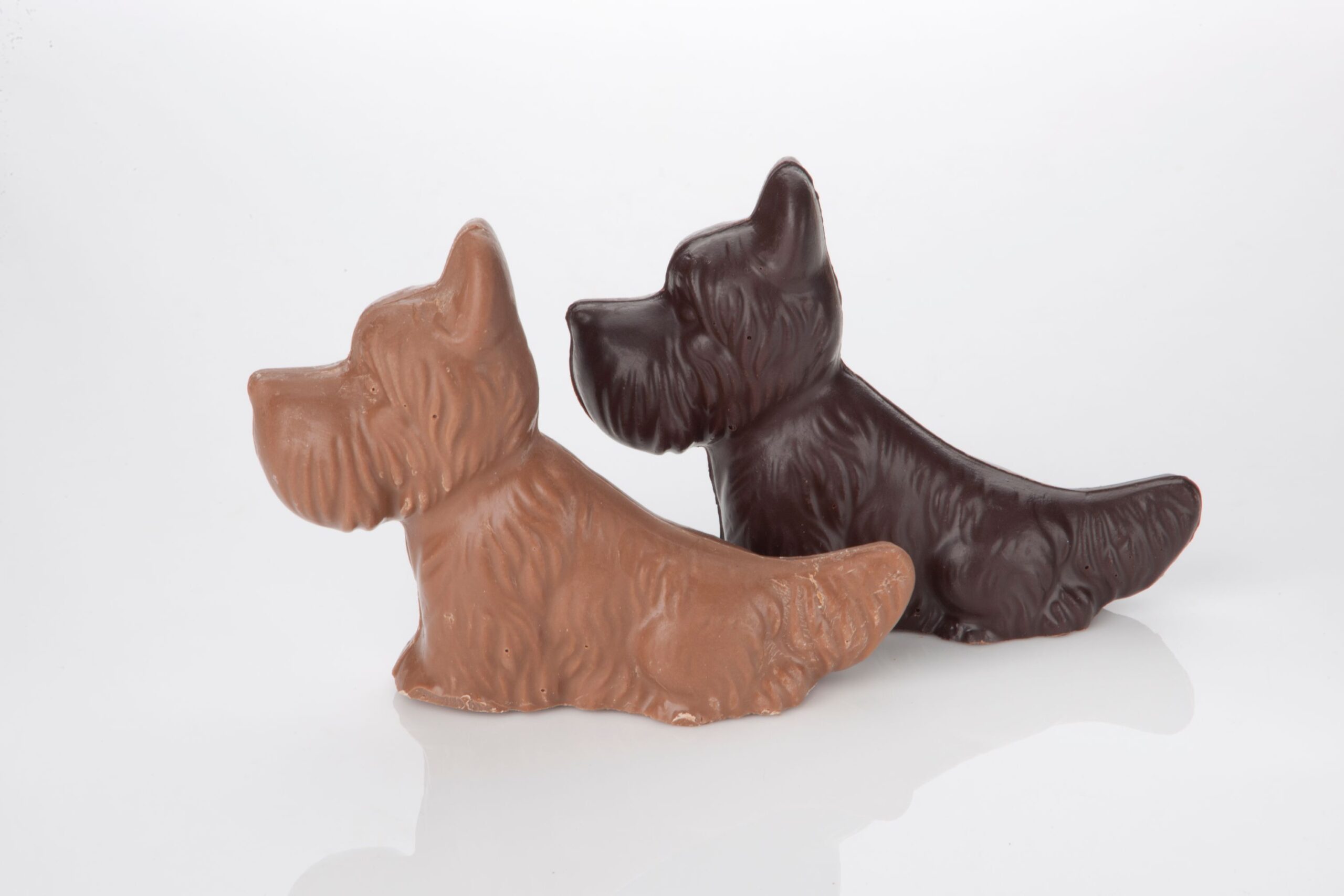 Chocolate Dog Scheurer's Chocolate