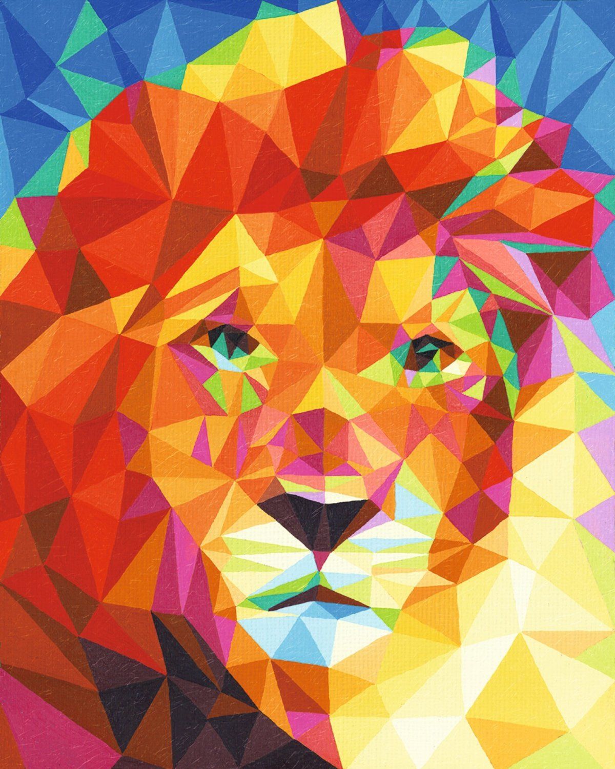 Schilderen Op Nummer - Leeuw Colorful Kopen? Kijk Snel!