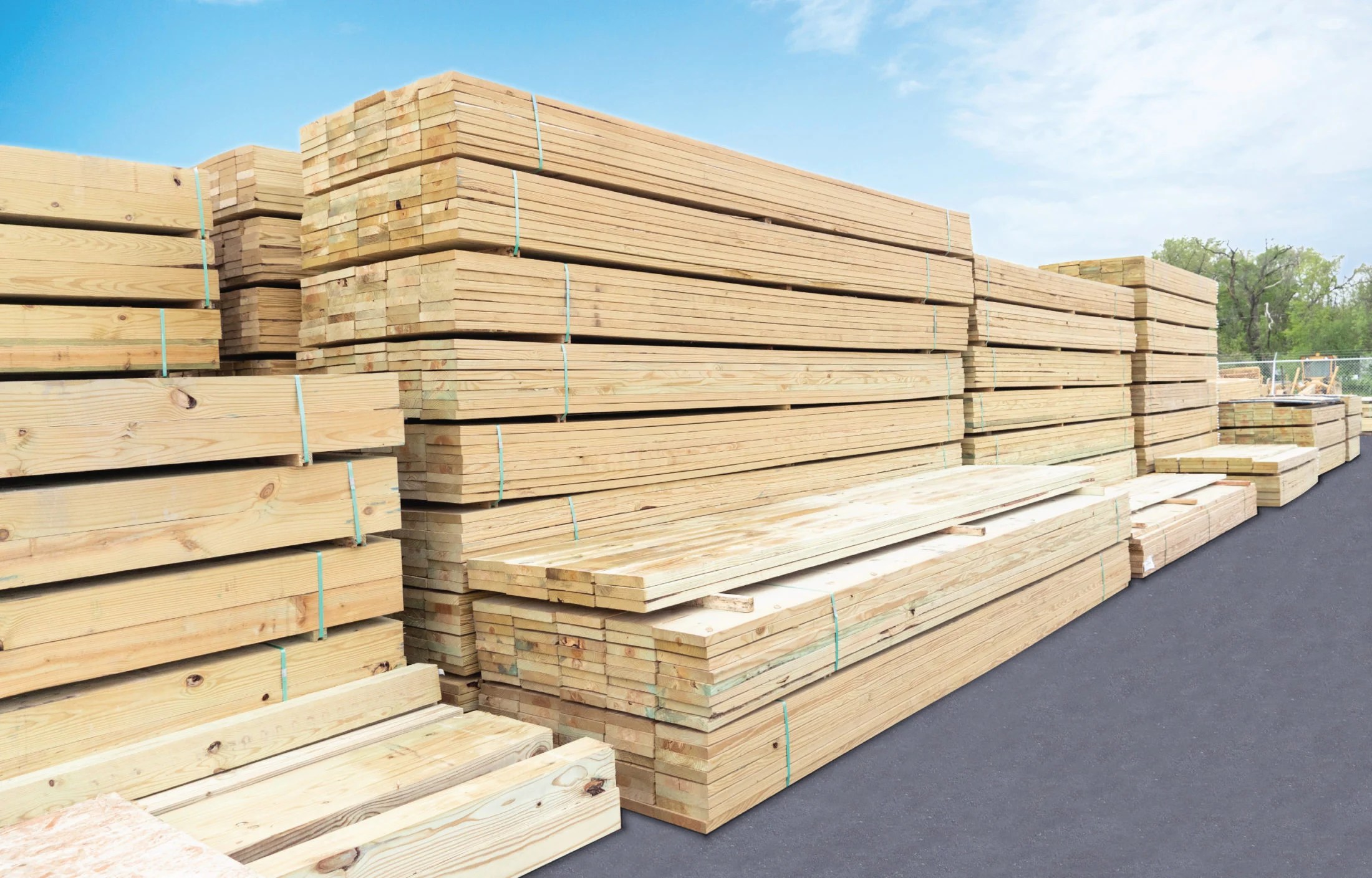 lumberHeader2 Schillings