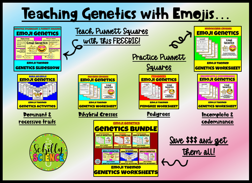 Schilly Science Real Science Resources for Real Science Teachers