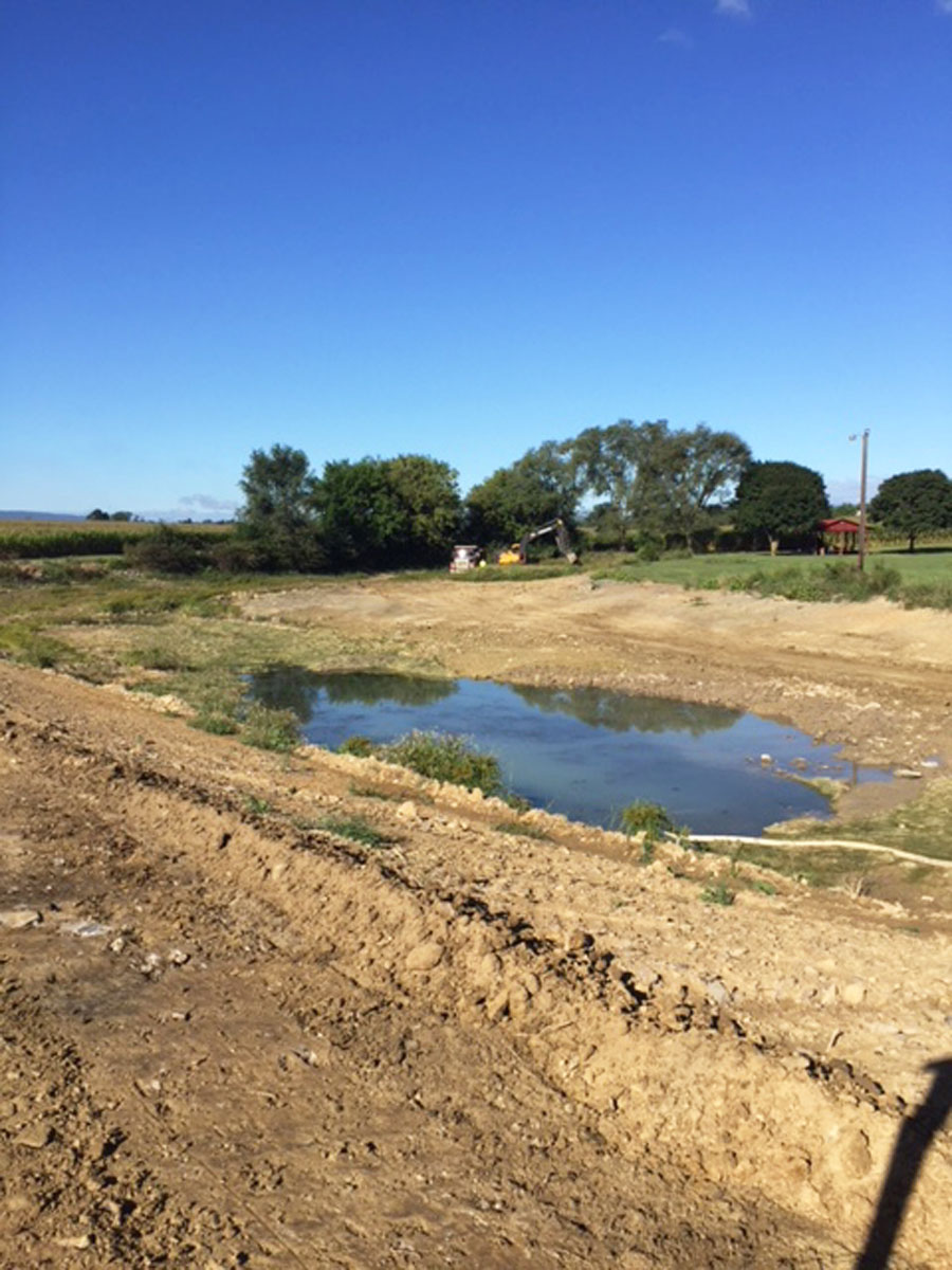 Fairfield Road Wetlands