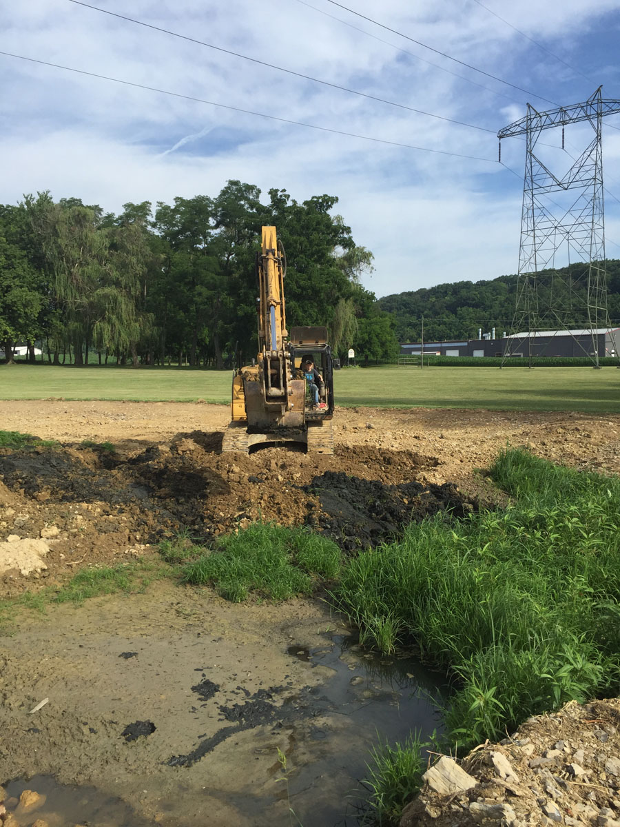 Fairfield Road Wetlands