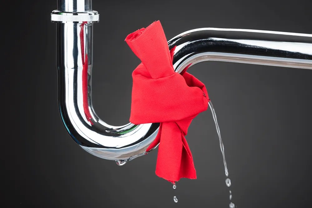 Defending Against the Drip Navigating a Plumbing Inspection with