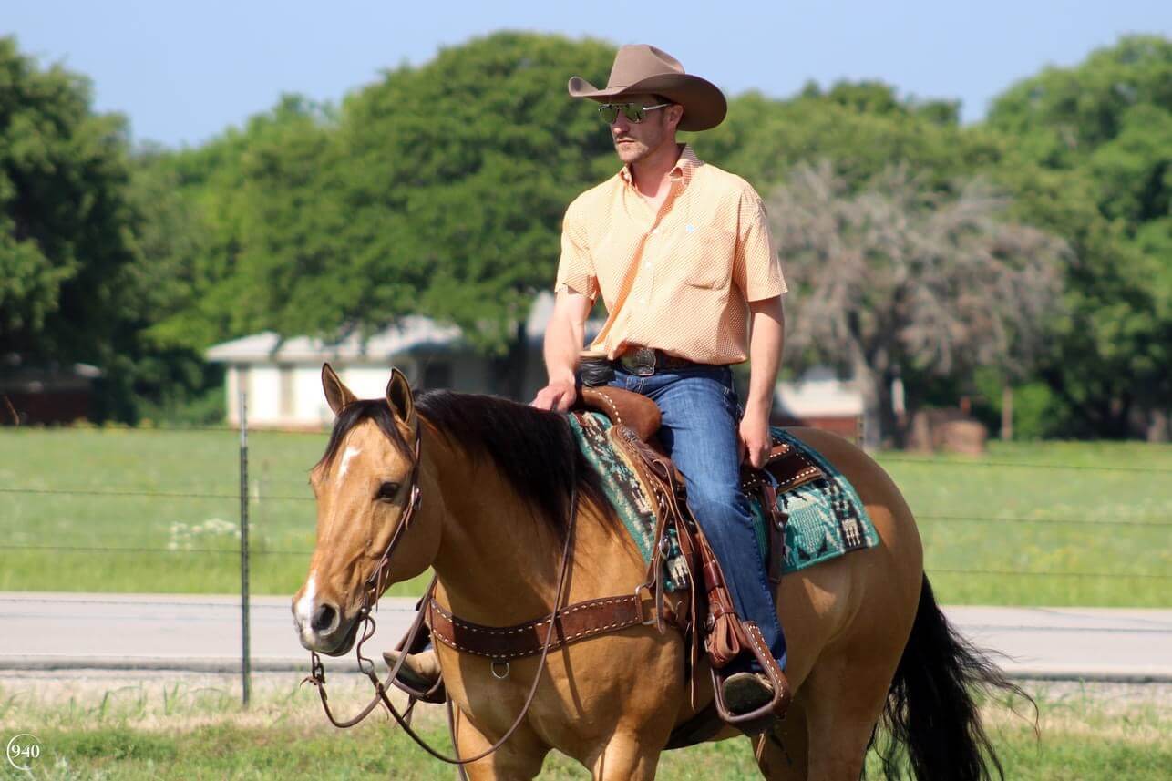 Home Schmitt Horse Ranch Holland, IA