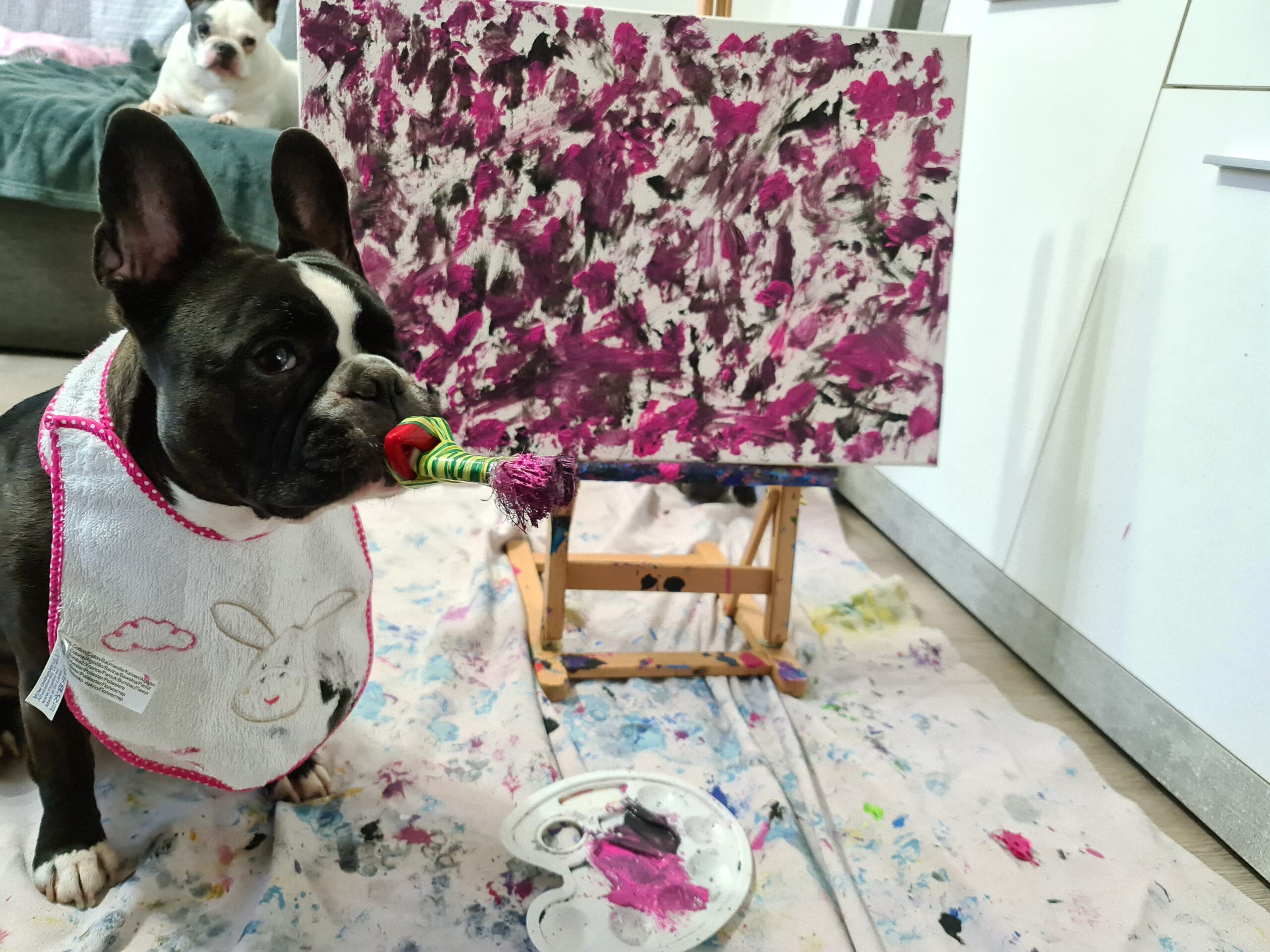 Cleo ein ganz besonderer Therapiehund Schnauzentrip