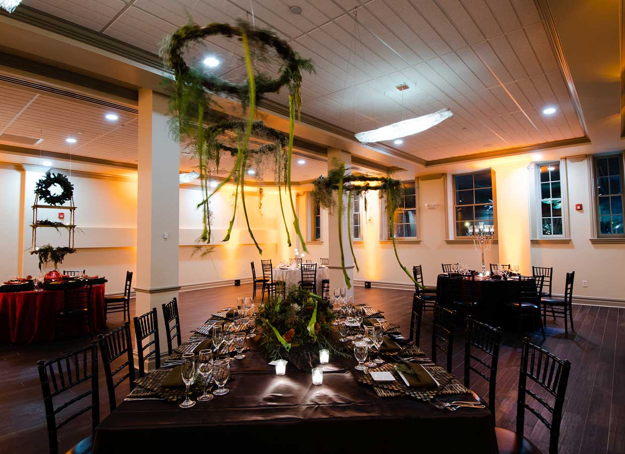 Shea's Seneca Schneider Development Services