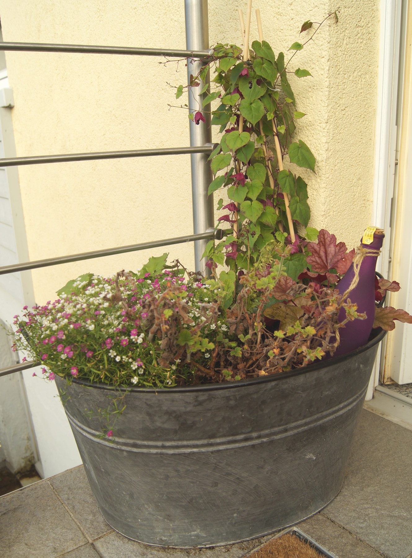 Blumen aus Amsterdam Balkon Gemüse Garten in BadenBaden