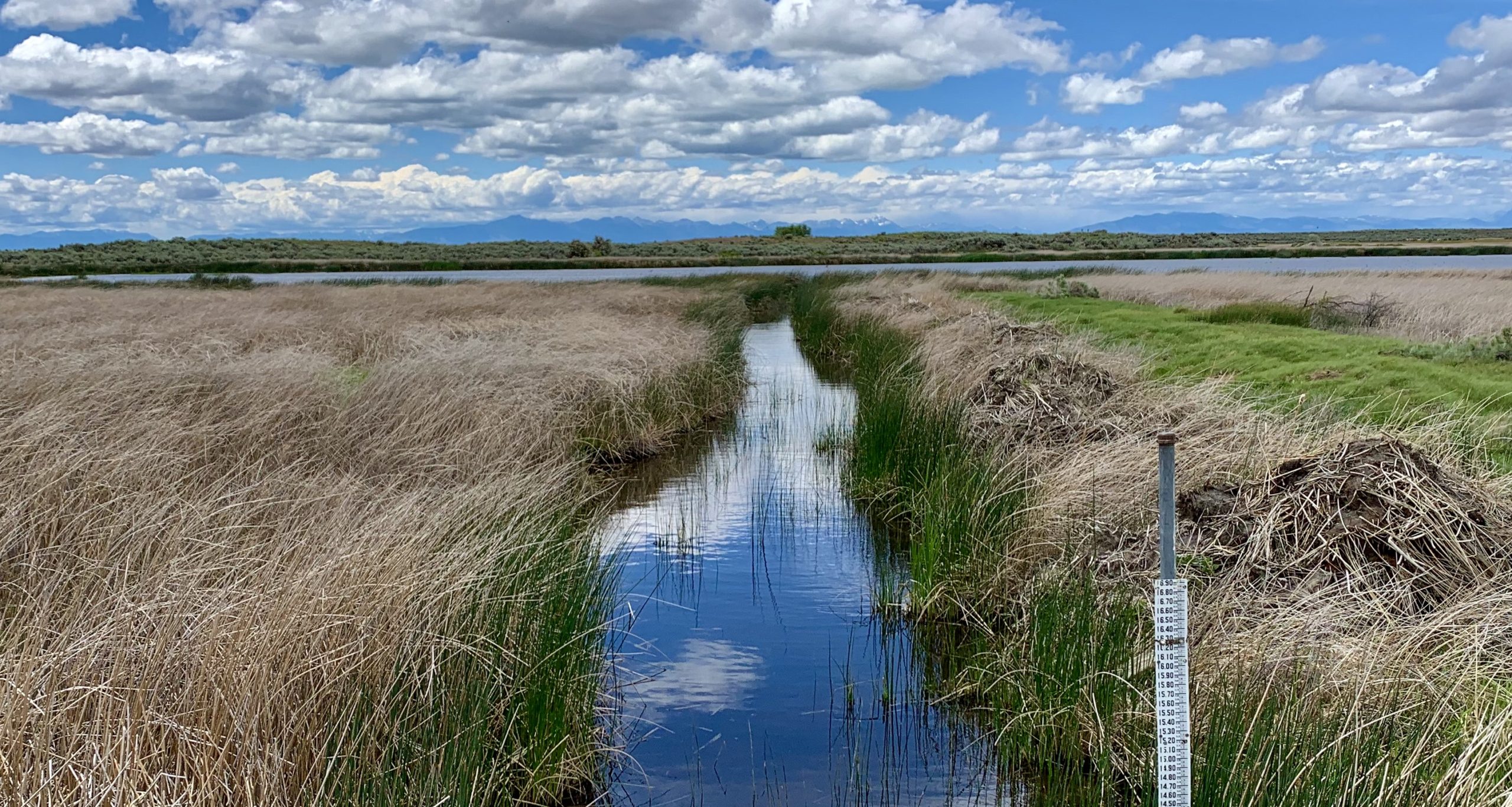 Downstream Effects of the Kilgore Project Part 1 Mud Lake ScholarDay