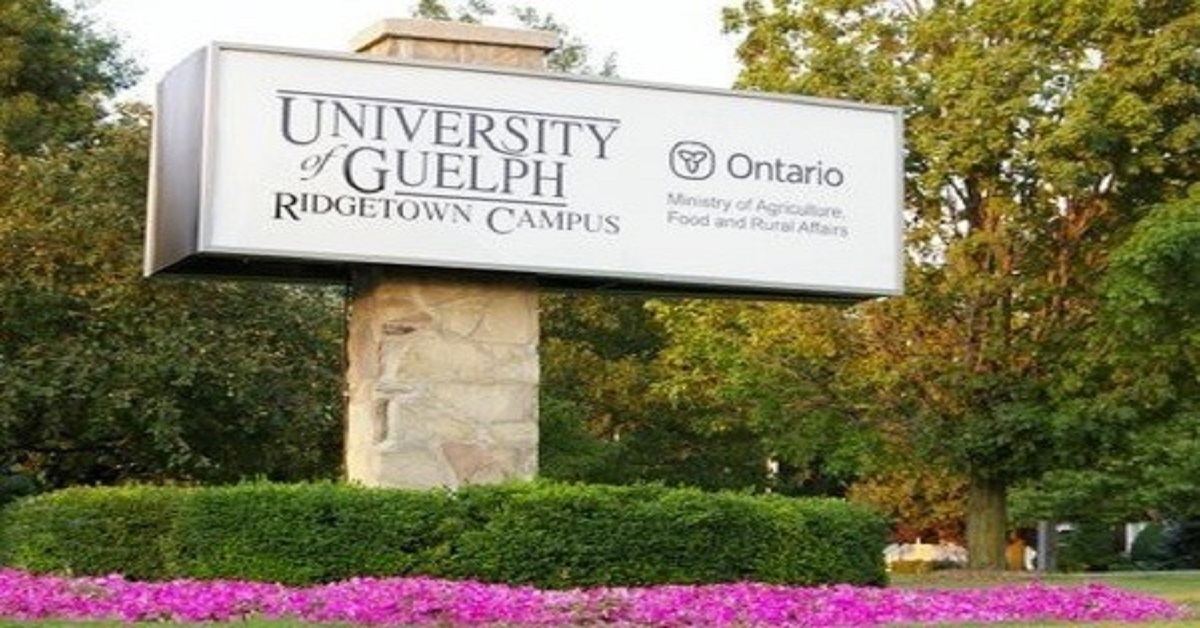 The University of Guelph in Canada invites application for vacant (37