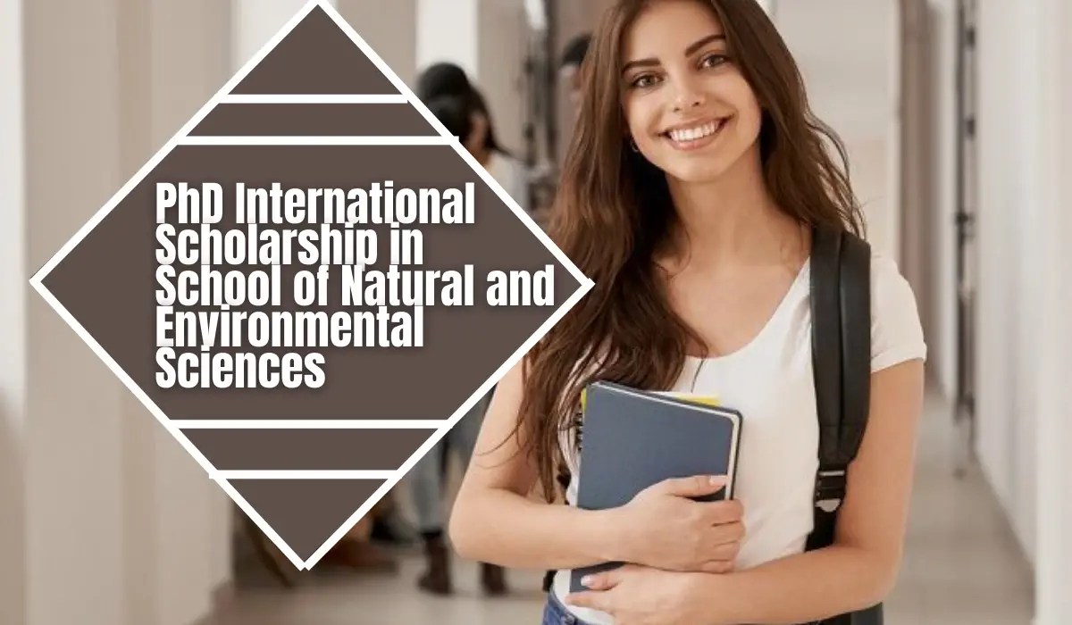 PhD Scholarship in School of Natural and Environmental Sciences in UK