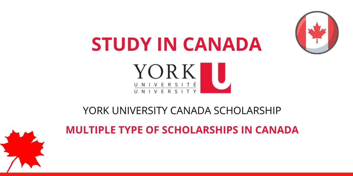 York University Canada Scholarship 2024 Study in Canada ScholarshipsPro