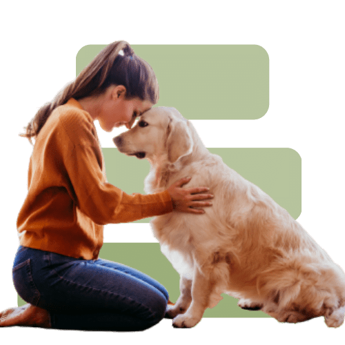 Embracing Your Role as a NonClinical Art Therapy Practitioner