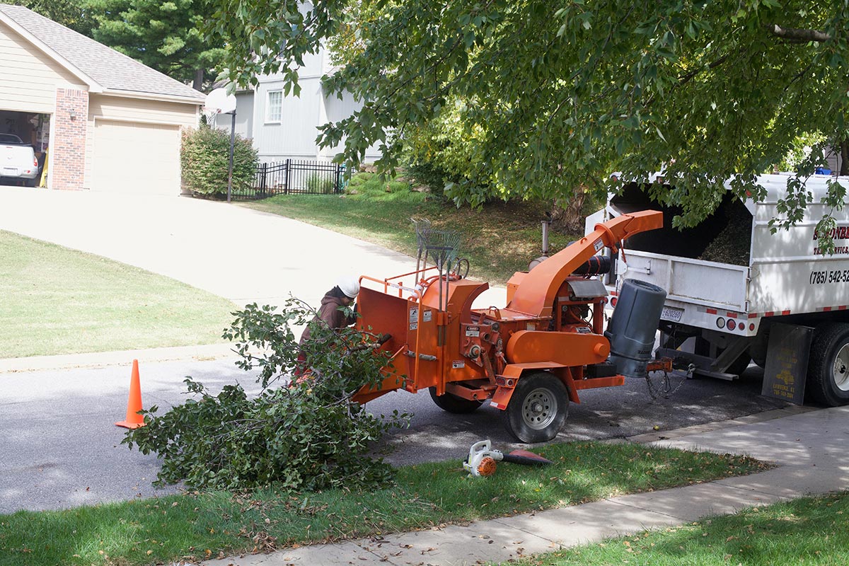 Contact Us Schonberg Tree Service