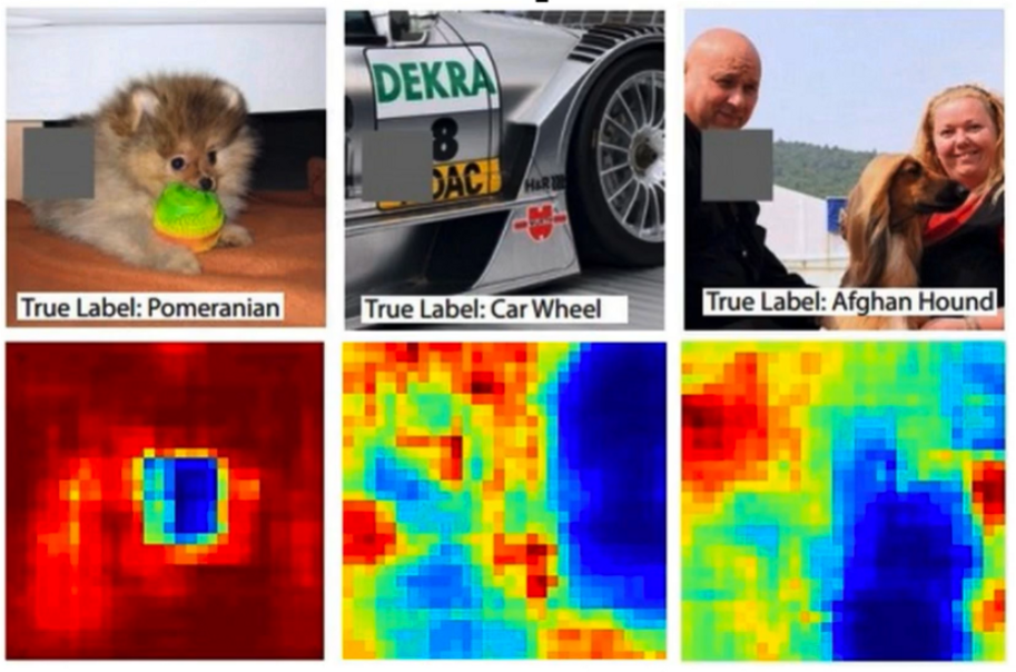 Experimenting with Occlusion methods to visualize the features learned