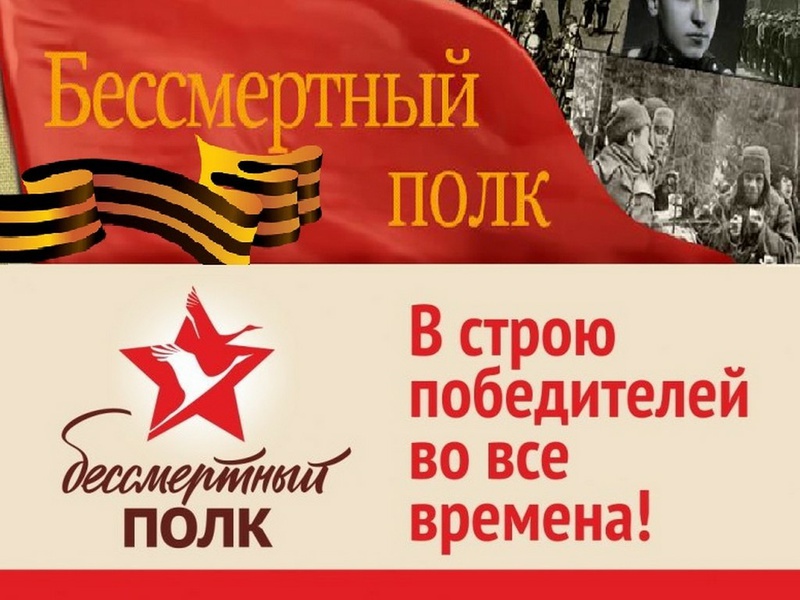 Лицей № 445 Курортного района СанктПетербурга