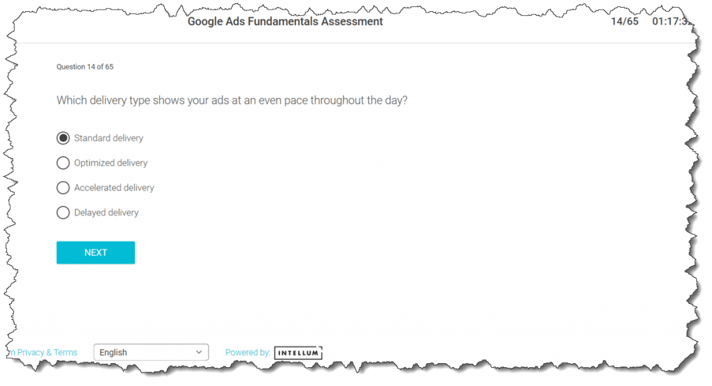 Which delivery type shows your ads at an even pace throughout the day