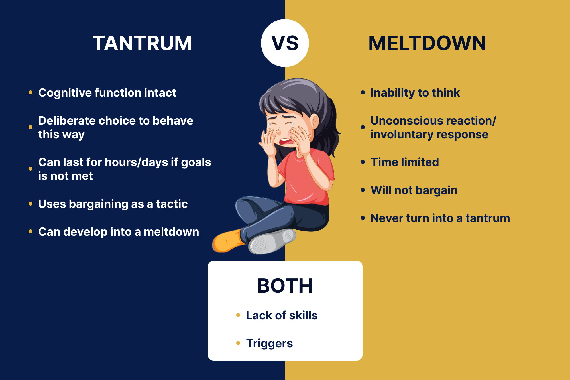 Navigating Tantrums and Meltdowns Strategies for Parents and