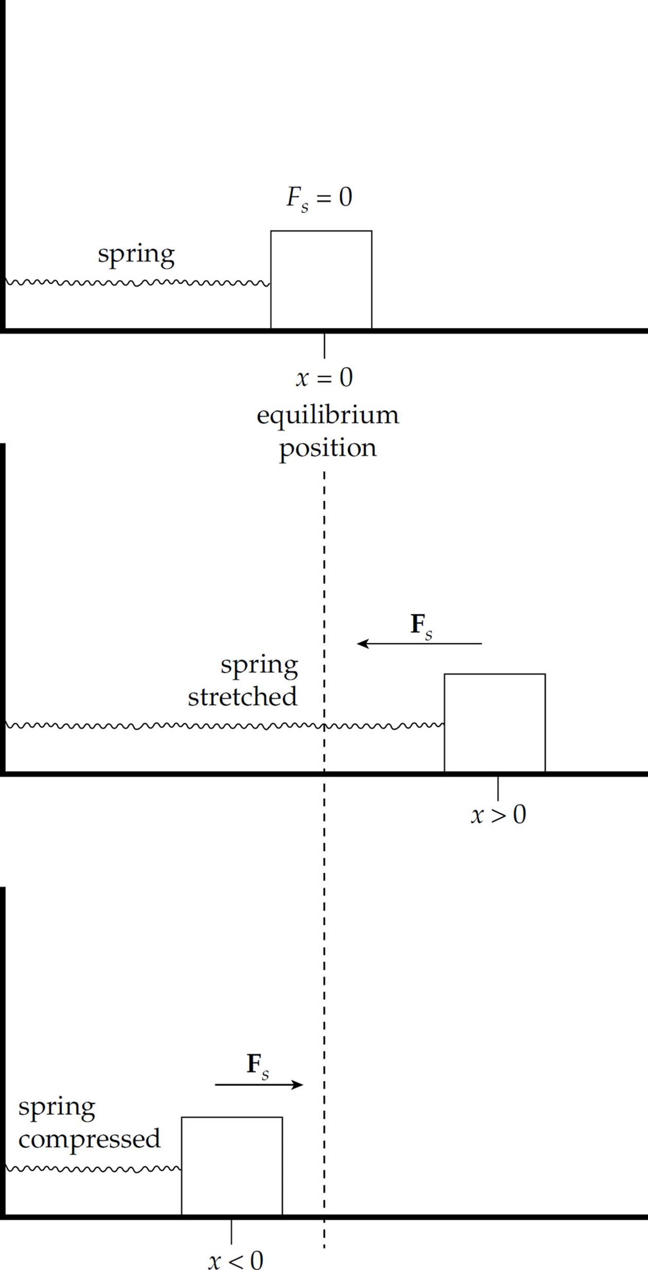 Example 1 A 12 cmlong spring has a force constant ( k ) of 400 N/m