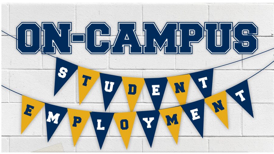 Earn while you learn Schoolcraft Connection