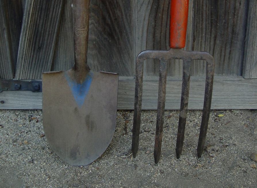 School Garden Weekly