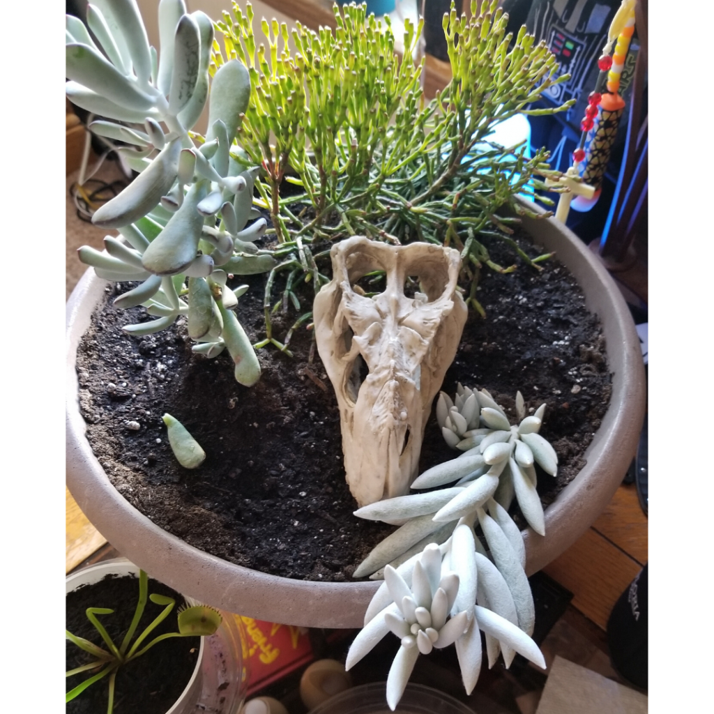 Things That Make You Smile And a LinkUp