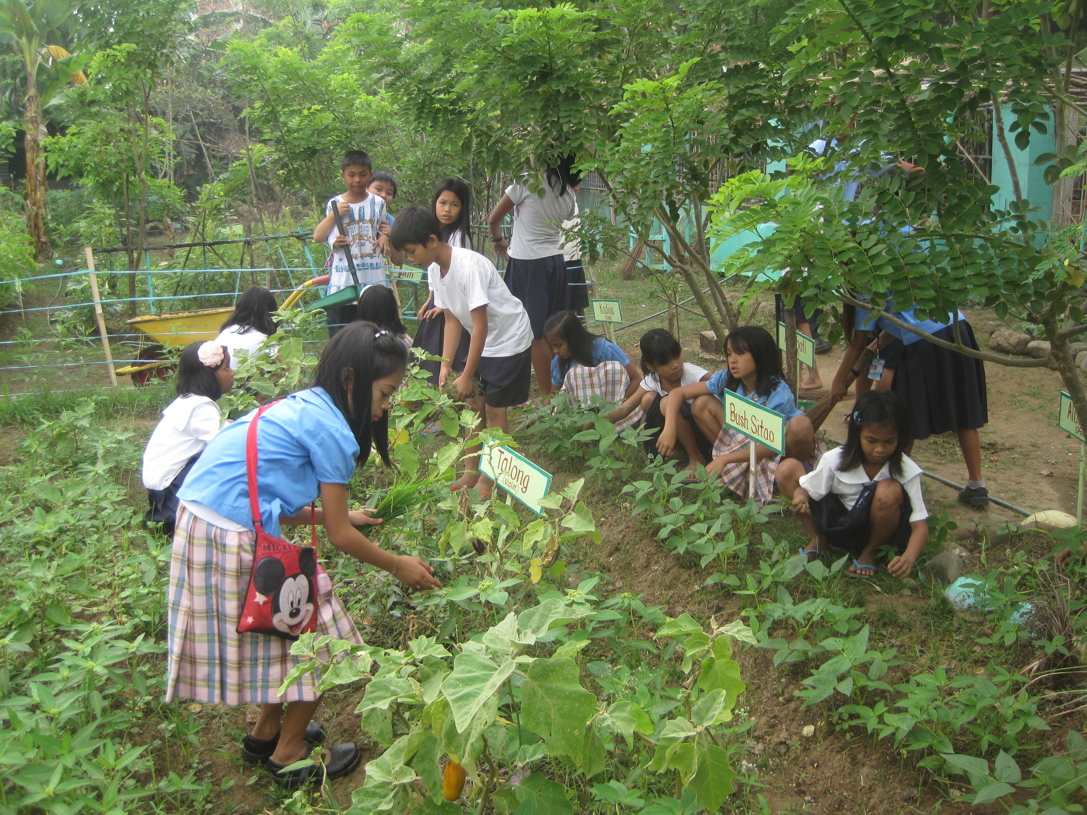 Strengthening the school nutrition program in the Philippines