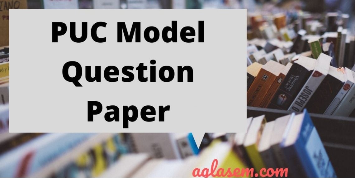 Karnataka 1st PUC Model Question Paper for Computer