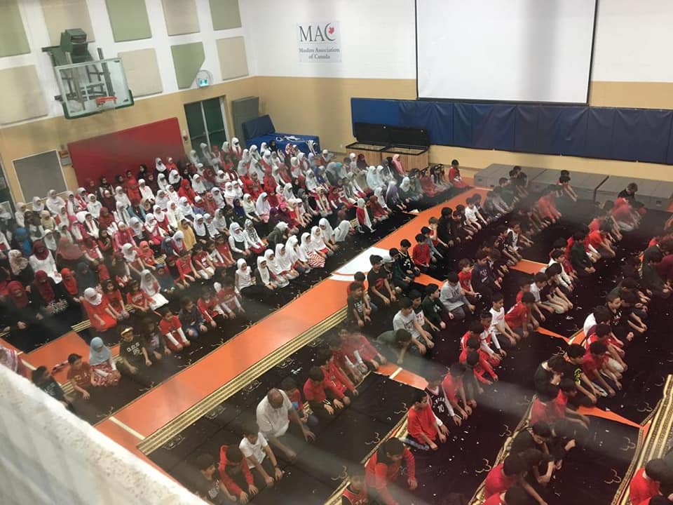 Elementary School Olive Grove School