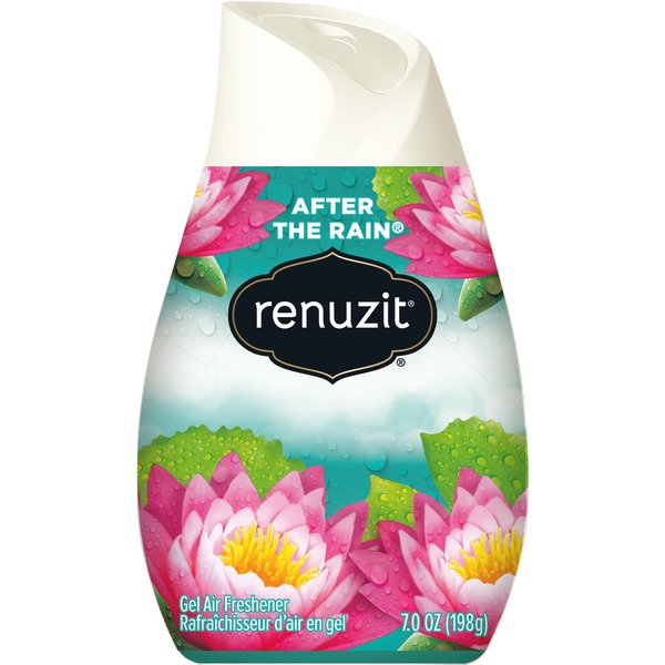 12 pk. Dial Renuzit Air Fresheners After the Rain Scent Schools In