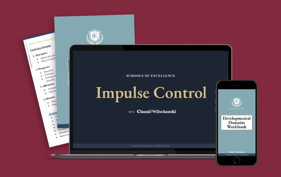 Early Childhood Teacher Trainings Schools of Excellence by Chanie