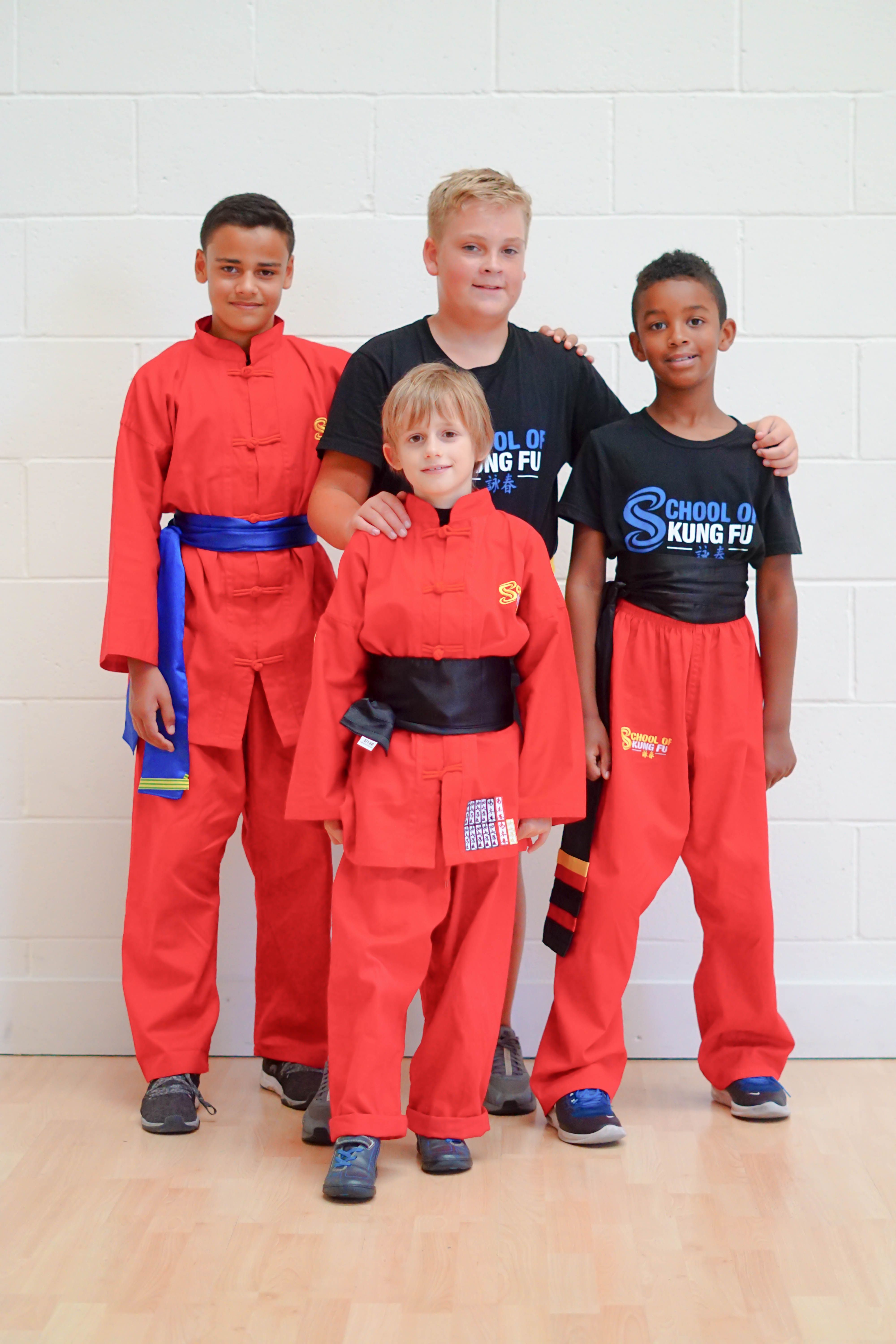 Photo Gallery Martial Arts classes for Kids and Adults, Wing Chun